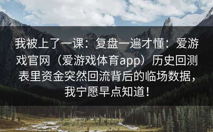 我被上了一课：复盘一遍才懂：爱游戏官网（爱游戏体育app）历史回测表里资金突然回流背后的临场数据，我宁愿早点知道！